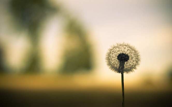 一张美味的图片 &middot; #85