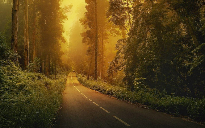 一张美味的图片 &middot; #1807