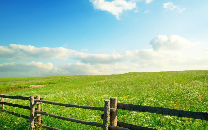 一张美味的图片 &middot; #15