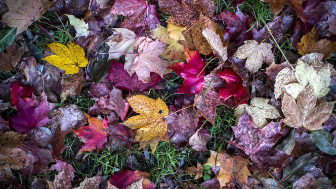 一张美味的图片 &middot; #3027