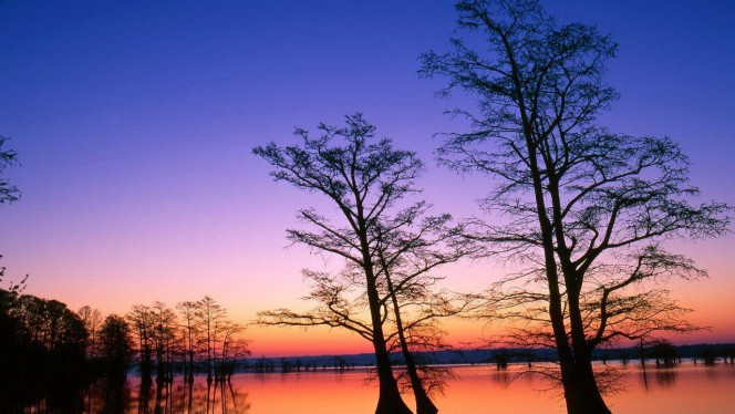 一张美味的图片 &middot; #4241