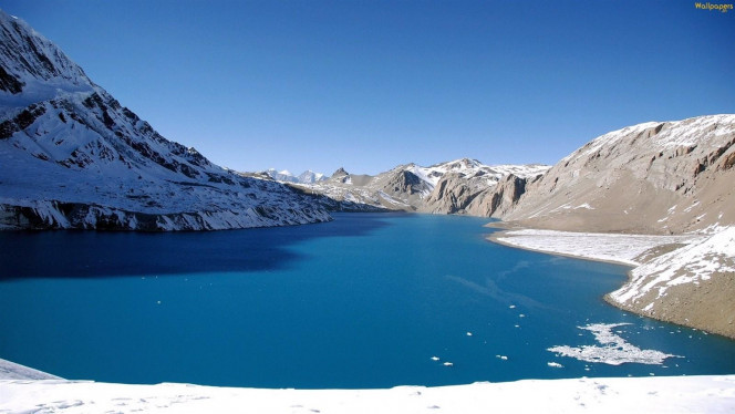 一张美味的图片 &middot; #2498