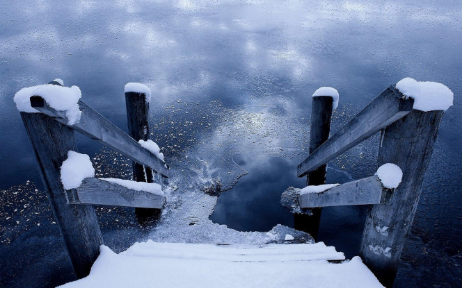 一张美味的图片 &middot; #2049