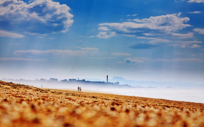 一张美味的图片 &middot; #2631