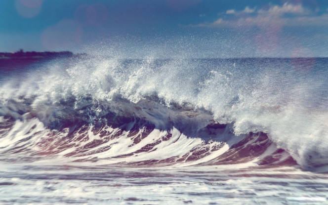 一张美味的图片 &middot; #2275