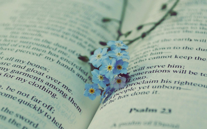 一张美味的图片 &middot; #1832