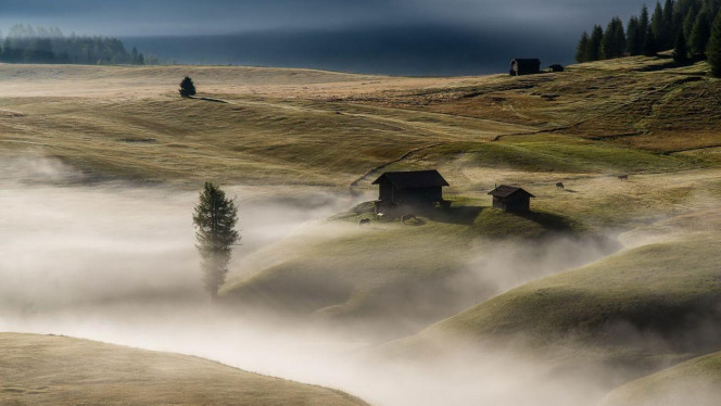 一张美味的图片 &middot; #4413