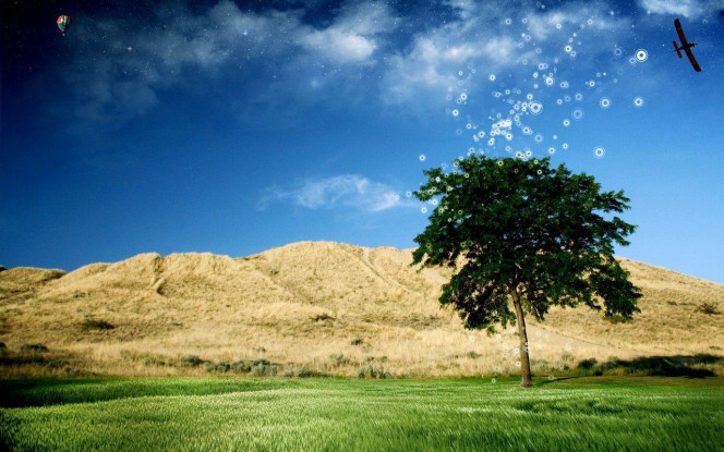 一张美味的图片 &middot; #2339