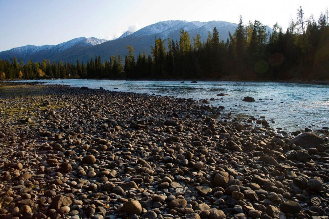 一张美味的图片 &middot; #2092