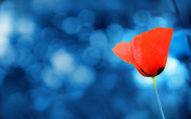 一张美味的图片 &middot; #4489