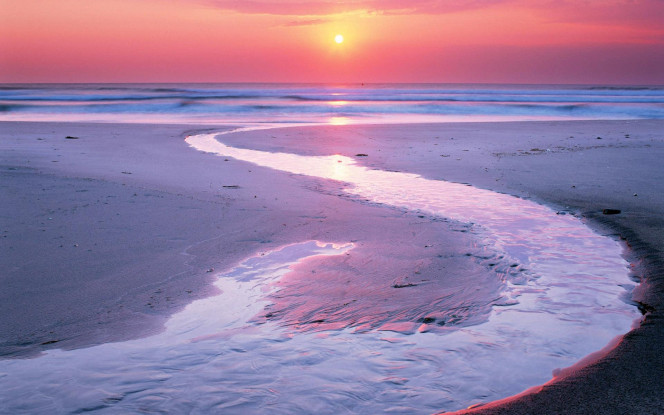 一张美味的图片 &middot; #794