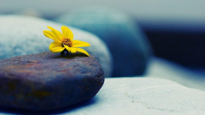 一张美味的图片 &middot; #3105