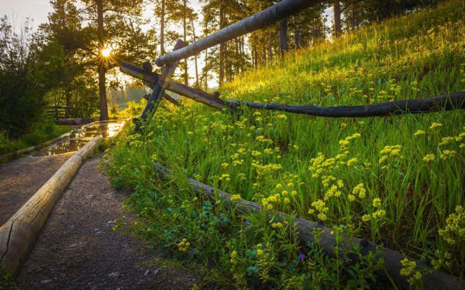 一张美味的图片 &middot; #3999