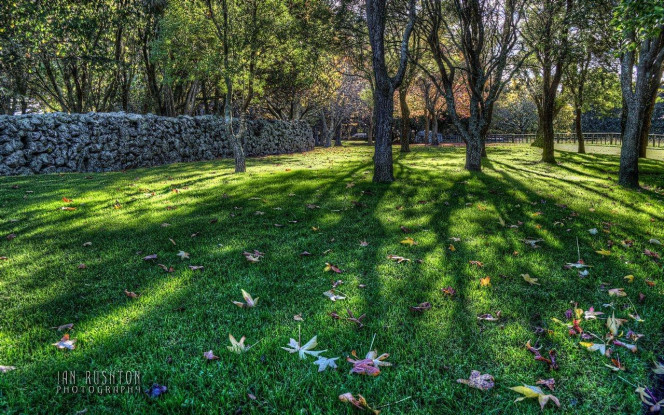 一张美味的图片 &middot; #1912