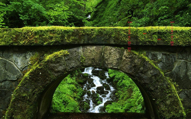 一张美味的图片 &middot; #3580