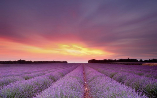 一张美味的图片 &middot; #3146