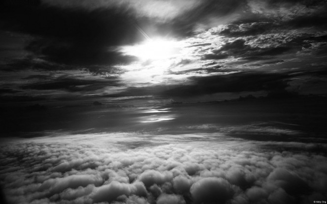 一张美味的图片 &middot; #1848