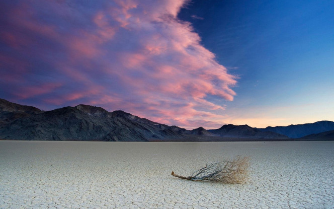 一张美味的图片 &middot; #3473