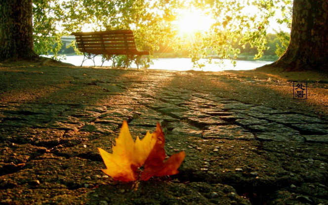 一张美味的图片 &middot; #2095