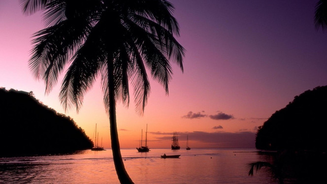 一张美味的图片 &middot; #4585