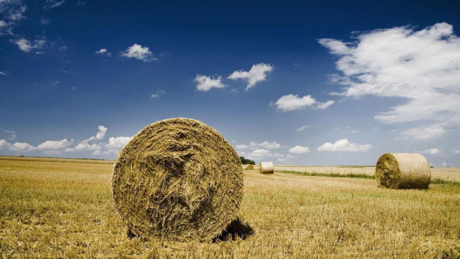 一张美味的图片 &middot; #2681