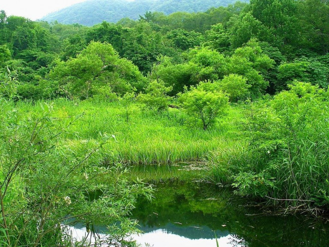 一张美味的图片 &middot; #893