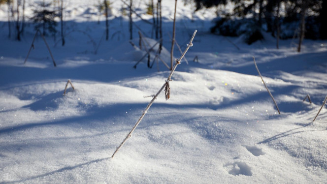 一张美味的图片 &middot; #788