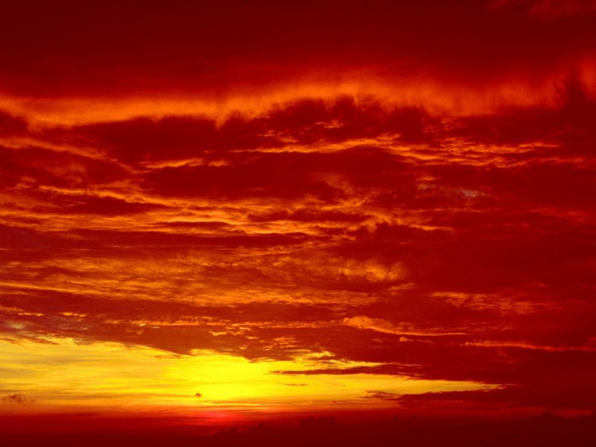 一张美味的图片 &middot; #807