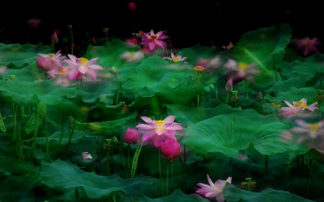 一张美味的图片 &middot; #2601