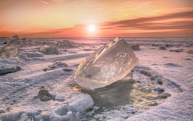 一张美味的图片 &middot; #1563