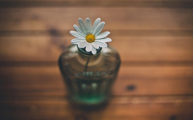 一张美味的图片 &middot; #745