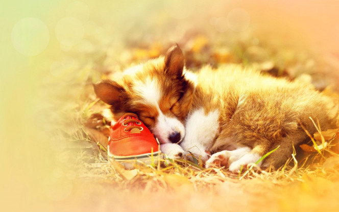 一张美味的图片 &middot; #1881