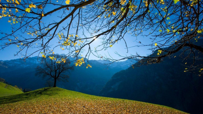 一张美味的图片 &middot; #4134