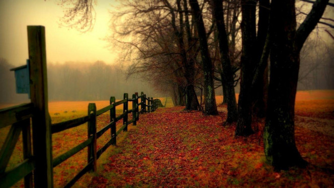 一张美味的图片 &middot; #4404