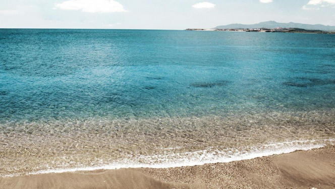 一张美味的图片 &middot; #1854