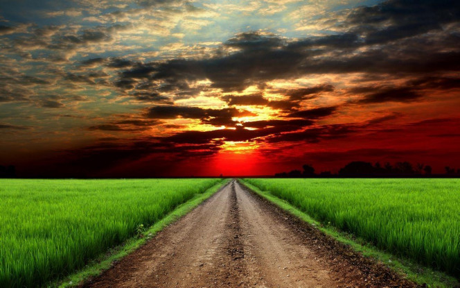 一张美味的图片 &middot; #3086