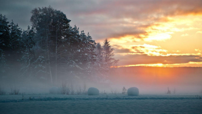 一张美味的图片 &middot; #4332