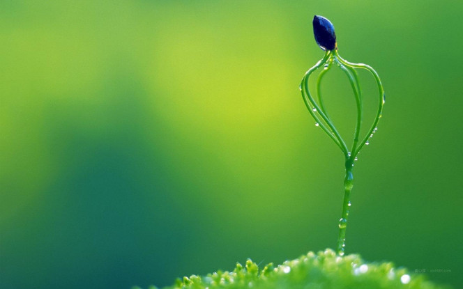 一张美味的图片 &middot; #717