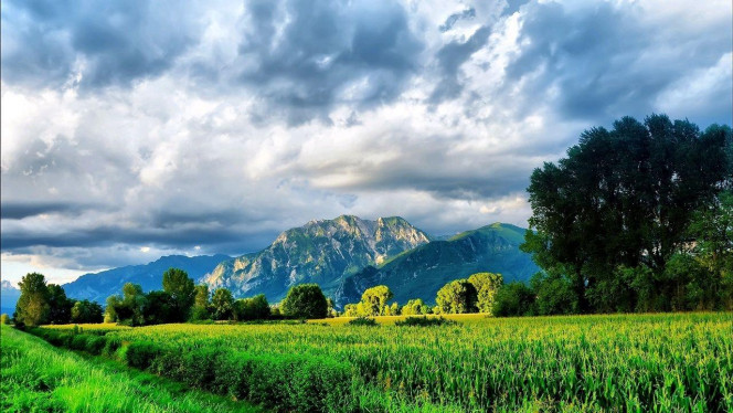 一张美味的图片 &middot; #2803