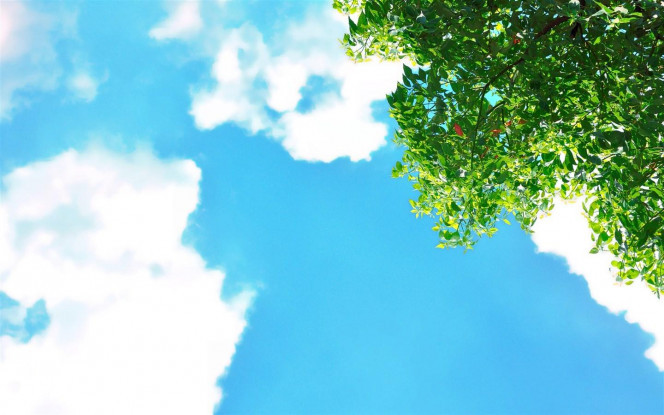 一张美味的图片 &middot; #2489