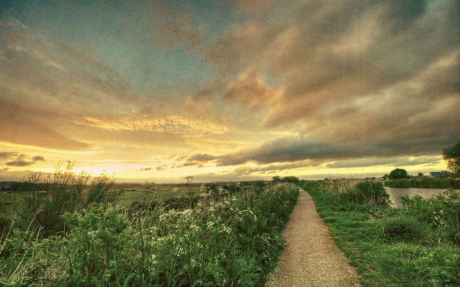 一张美味的图片 &middot; #3953