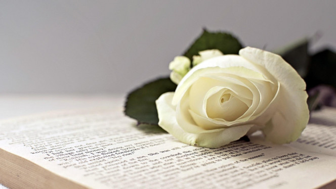 一张美味的图片 &middot; #3447