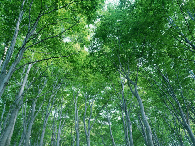 一张美味的图片 &middot; #828