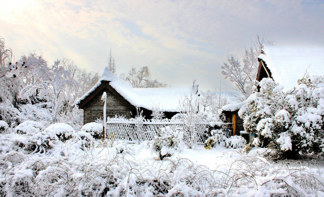 一张美味的图片 &middot; #1430