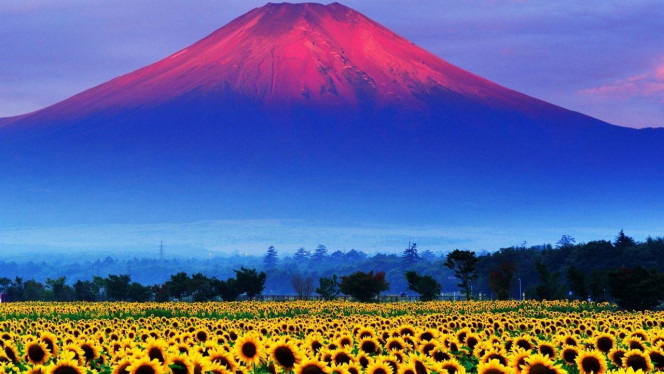 一张美味的图片 &middot; #4052