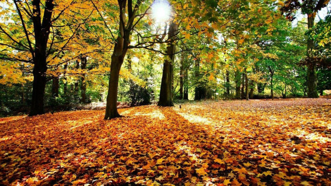 一张美味的图片 &middot; #2373