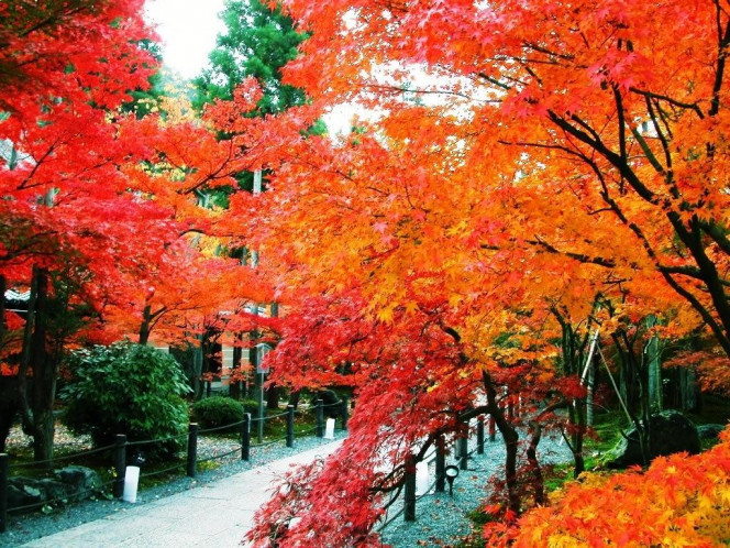 一张美味的图片 &middot; #858