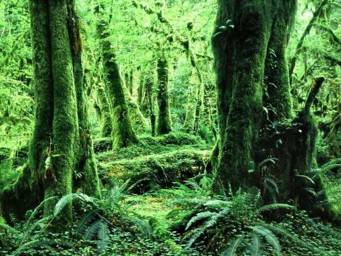 一张美味的图片 &middot; #895