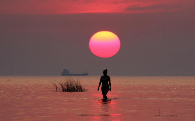 一张美味的图片 &middot; #1741