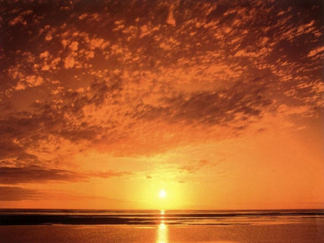 一张美味的图片 &middot; #913